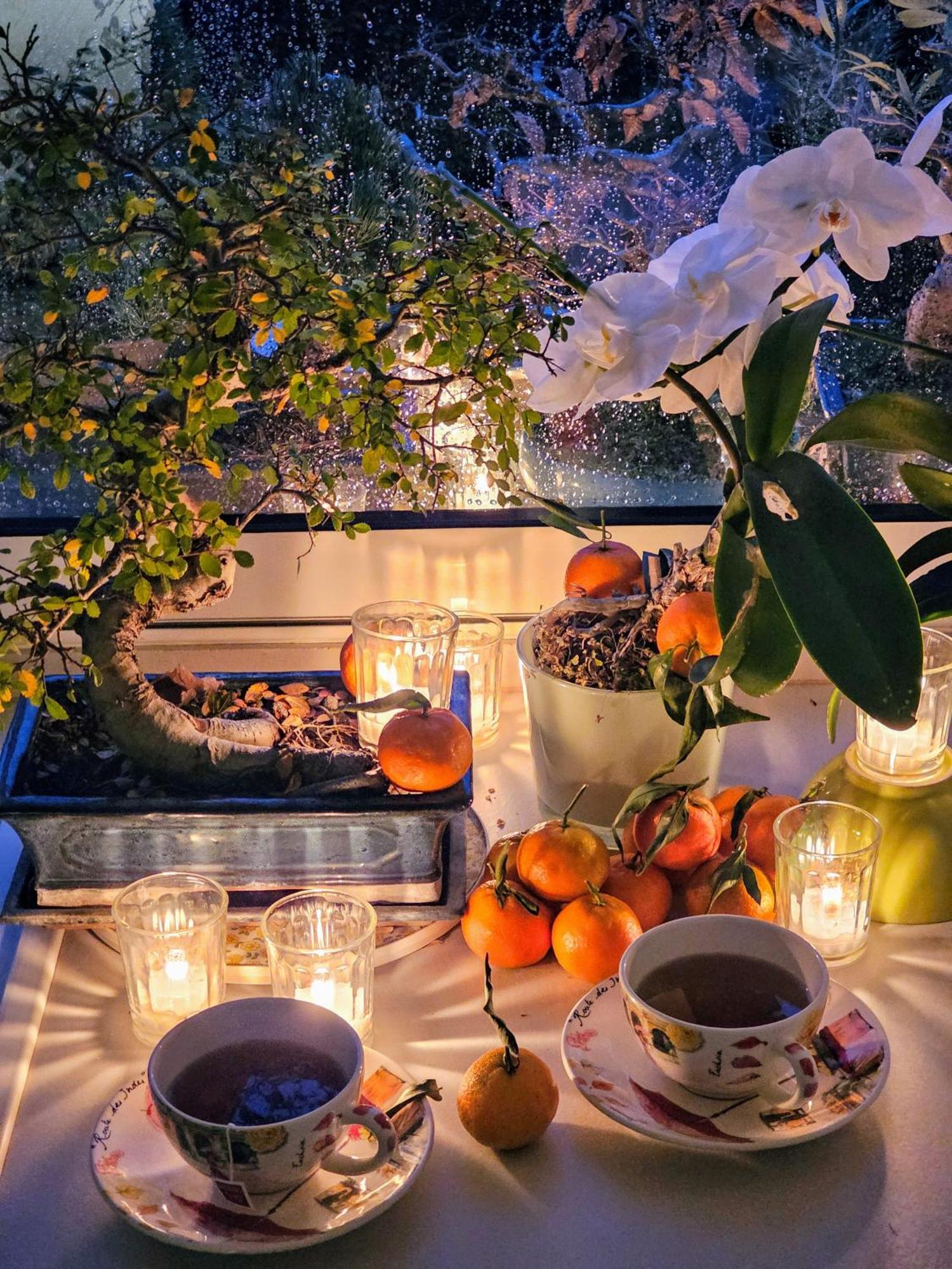 Terrasse De Malissol Daire Vienne  Dış mekan fotoğraf